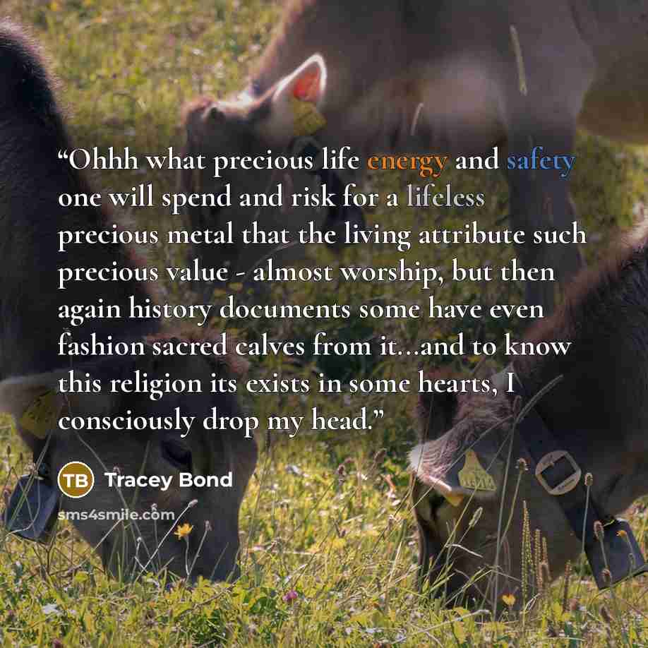 “Ohhh what precious life energy and safety one will spend and risk for a lifeless precious metal that the living attribute such precious value - almost worship, but then again history documents some have even fashion sacred calves from it...and to know this religion its exists in some hearts, I…” quote by Tracey Bond