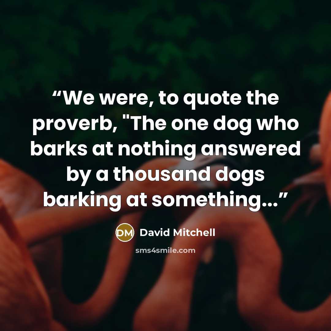 “We were, to quote the proverb, "The one dog who barks at nothing answered by a thousand dogs barking at something...” quote by David Mitchell