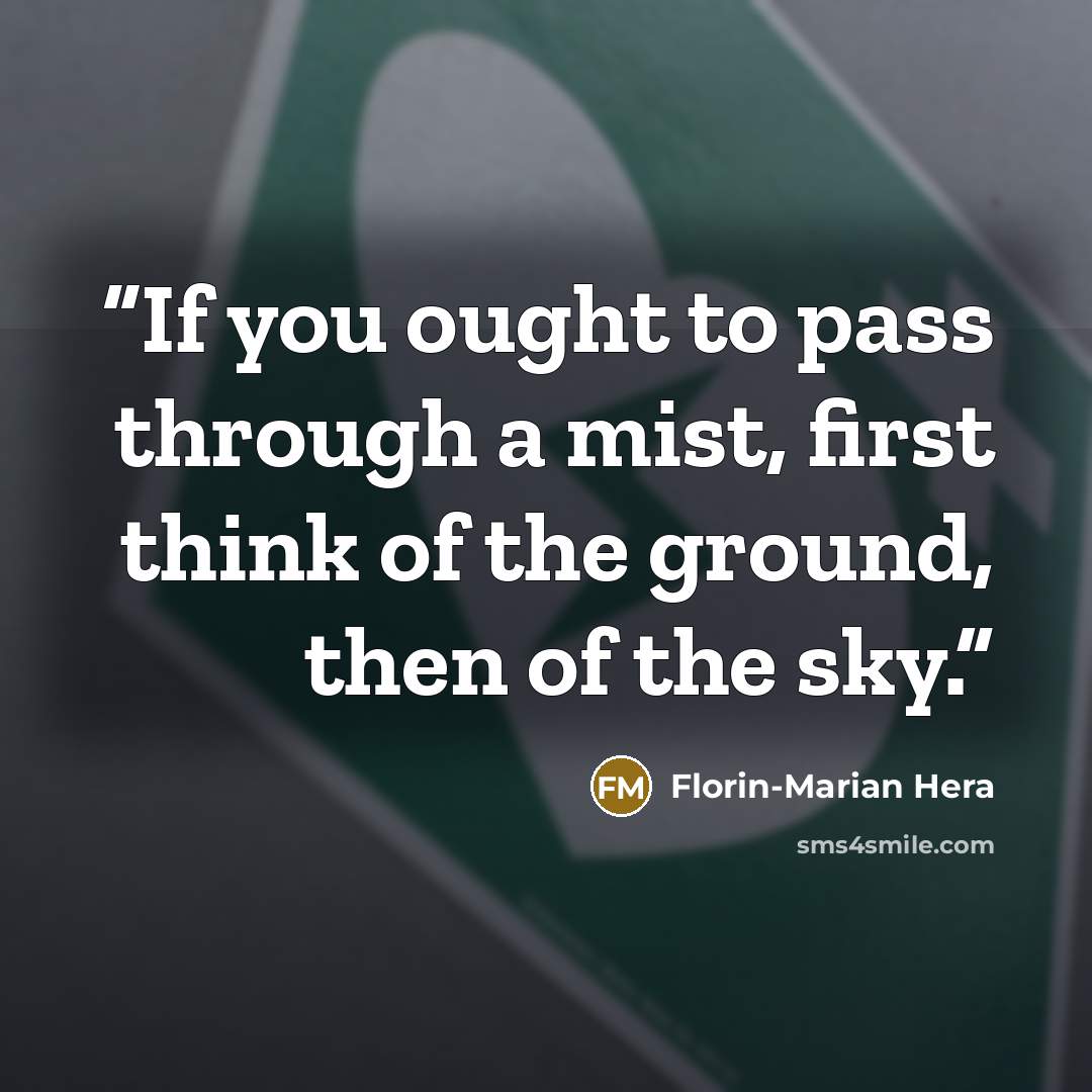 “If you ought to pass through a mist, first think of the ground, then of the sky.” quote by Florin-Marian Hera