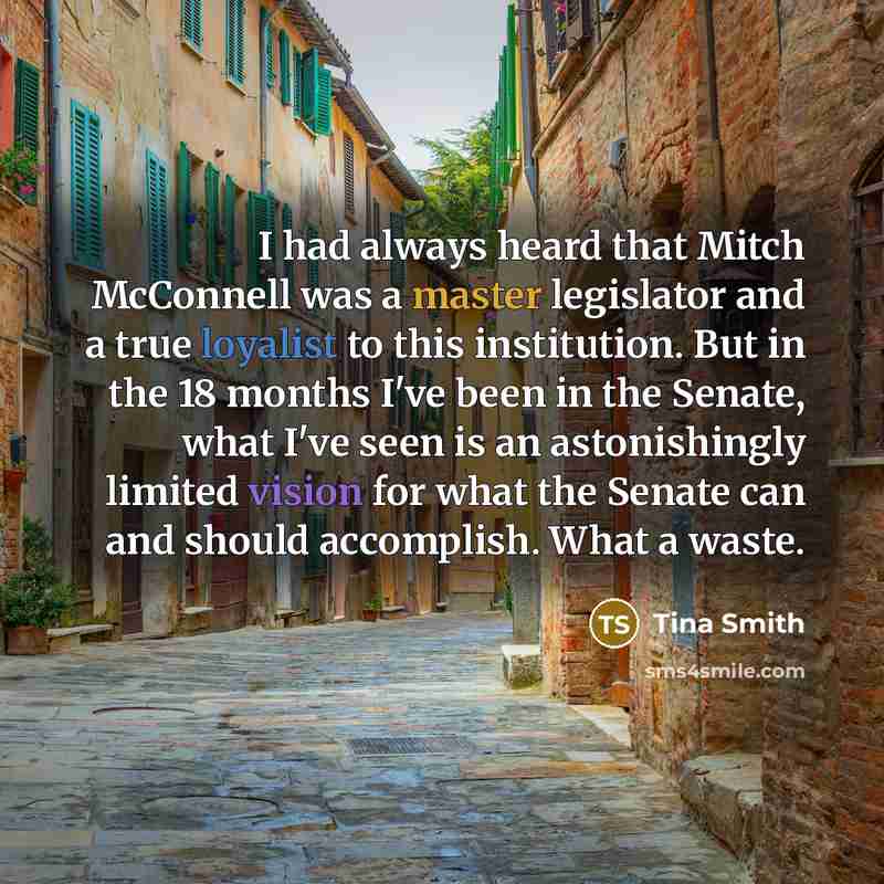 “I had always heard that Mitch McConnell was a master legislator and a true loyalist to this institution. But in the 18 months I've been in the Senate, what I've seen is an astonishingly limited vision for what the Senate can and should accomplish. What a waste.” quote by Tina Smith