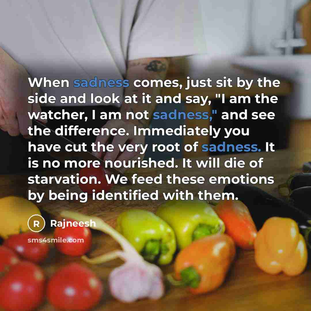 “When sadness comes, just sit by the side and look at it and say, "I am the watcher, I am not sadness," and see the difference. Immediately you have cut the very root of sadness. It is no more nourished. It will die of starvation. We feed these emotions by being identified with them.” quote by Rajneesh