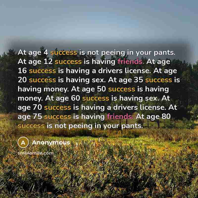 “At age 4 success is not peeing in your pants. At age 12 success is having friends. At age 16 success is having a drivers license. At age 20 success is having sex. At age 35 success is having money. At age 50 success is having money. At age 60 success is having sex. At age 70 success is having a…” quote by Anonymous