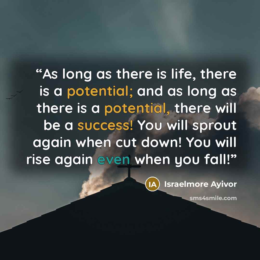 “As long as there is life, there is a potential; and as long as there is a potential, there will be a success! You will sprout again when cut down! You will rise again even when you fall!” quote by Israelmore Ayivor
