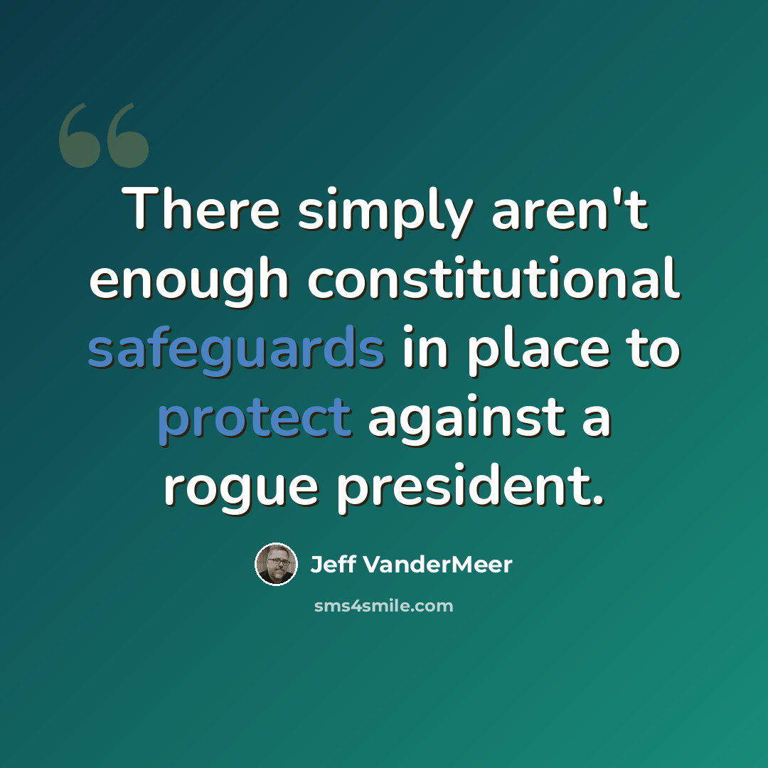 “There simply aren't enough constitutional safeguards in place to protect against a rogue president.” quote by Jeff Vandermeer