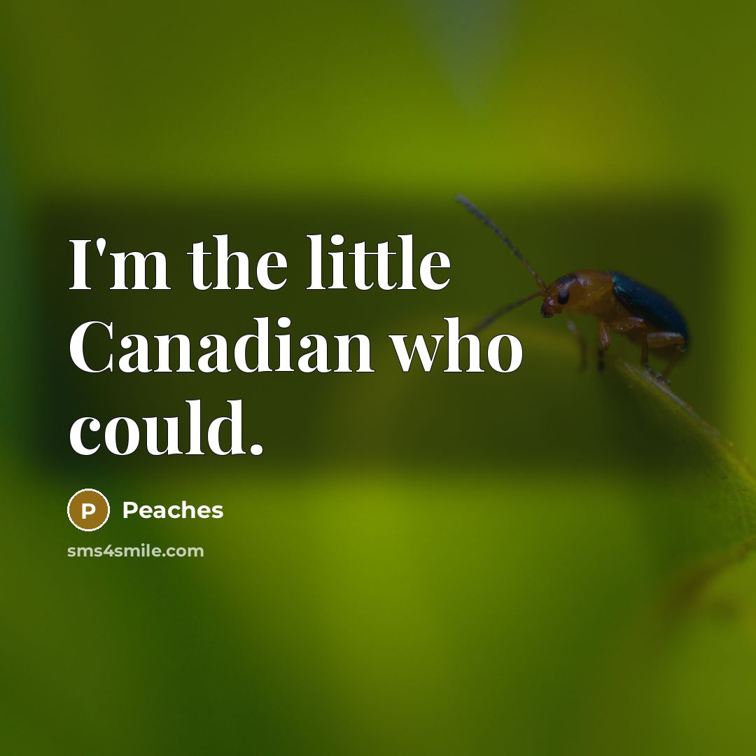 “I'm the little Canadian who could.” quote by Peaches