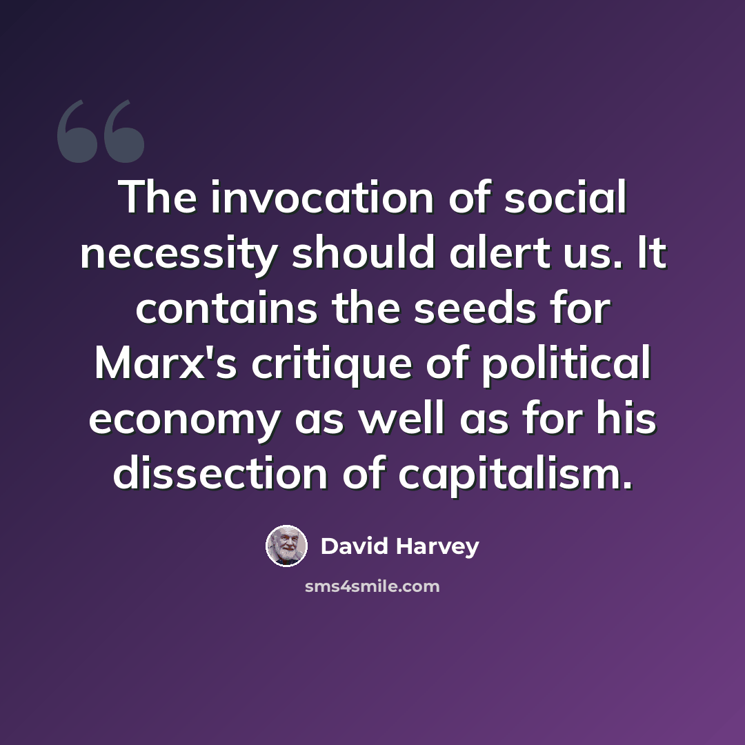 “The invocation of social necessity should alert us. It contains the seeds for Marx's critique of political economy as well as for his dissection of capitalism.” quote by David Harvey