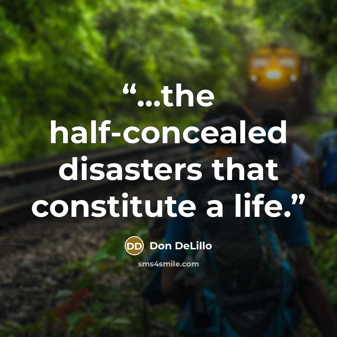 “...the half-concealed disasters that constitute a life.” quote by Don DeLillo