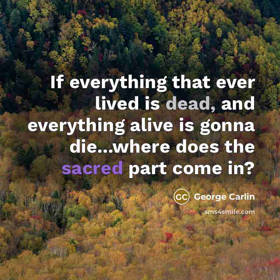 “If everything that ever lived is dead, and everything alive is gonna die...where does the sacred part come in?” quote by George Carlin