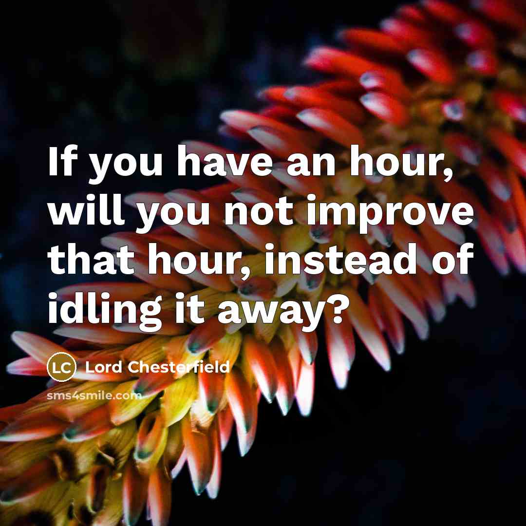 “If you have an hour, will you not improve that hour, instead of idling it away?” quote by Lord Chesterfield