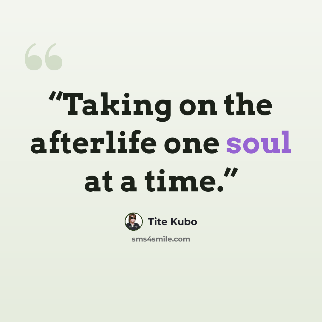 “Taking on the afterlife one soul at a time.” quote by Tite Kubo
