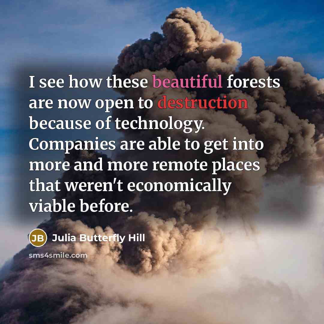 “I see how these beautiful forests are now open to destruction because of technology. Companies are able to get into more and more remote places that weren't economically viable before.” quote by Julia Butterfly Hill