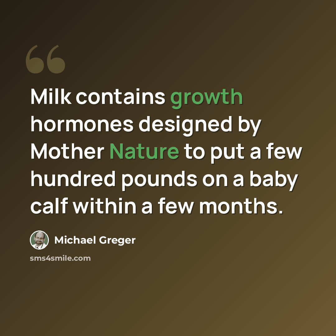 “Milk contains growth hormones designed by Mother Nature to put a few hundred pounds on a baby calf within a few months.” quote by Michael Greger
