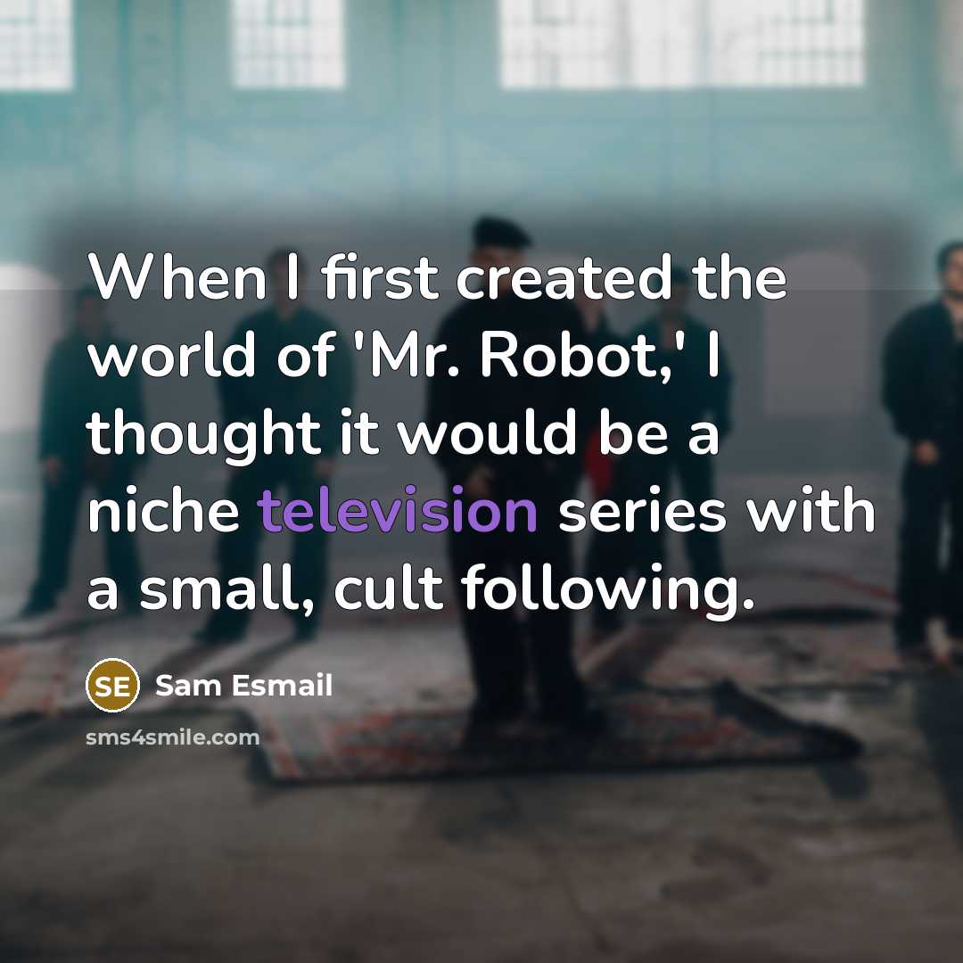 “When I first created the world of 'Mr. Robot,' I thought it would be a niche television series with a small, cult following.” quote by Sam Esmail