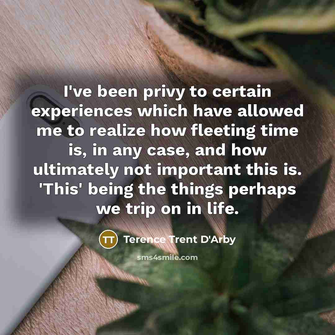 “I've been privy to certain experiences which have allowed me to realize how fleeting time is, in any case, and how ultimately not important this is. 'This' being the things perhaps we trip on in life.” quote by Terence Trent D'Arby