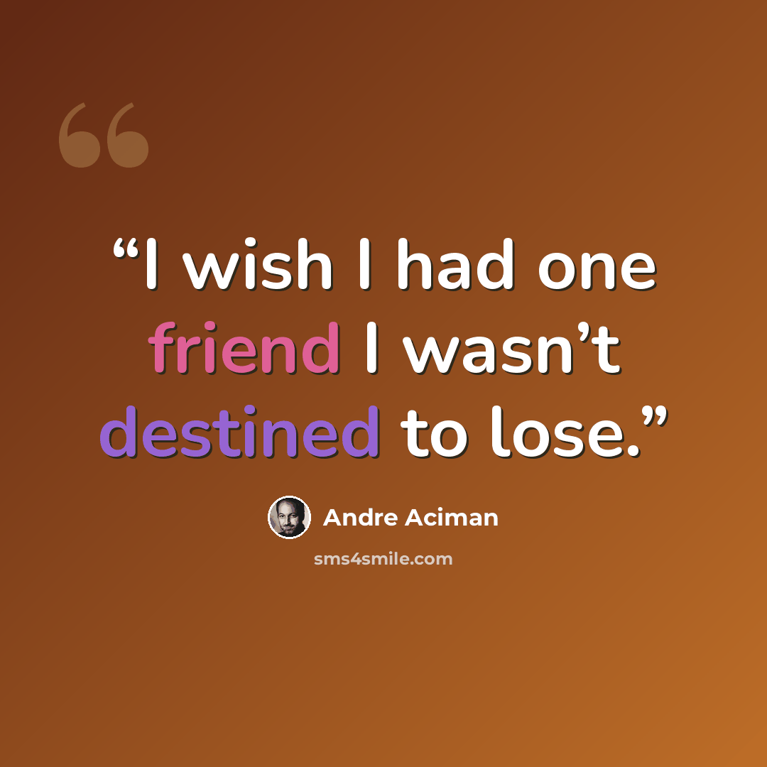 “I wish I had one friend I wasn’t destined to lose.” quote by André Aciman
