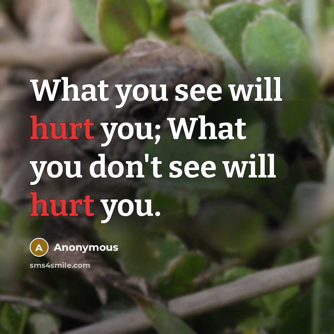 “What you see will hurt you; What you don't see will hurt you.” quote by Anonymous