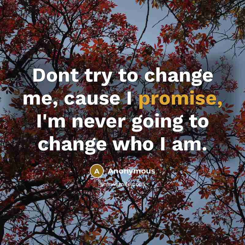 “Dont try to change me, cause I promise, I'm never going to change who I am.” quote by Anonymous