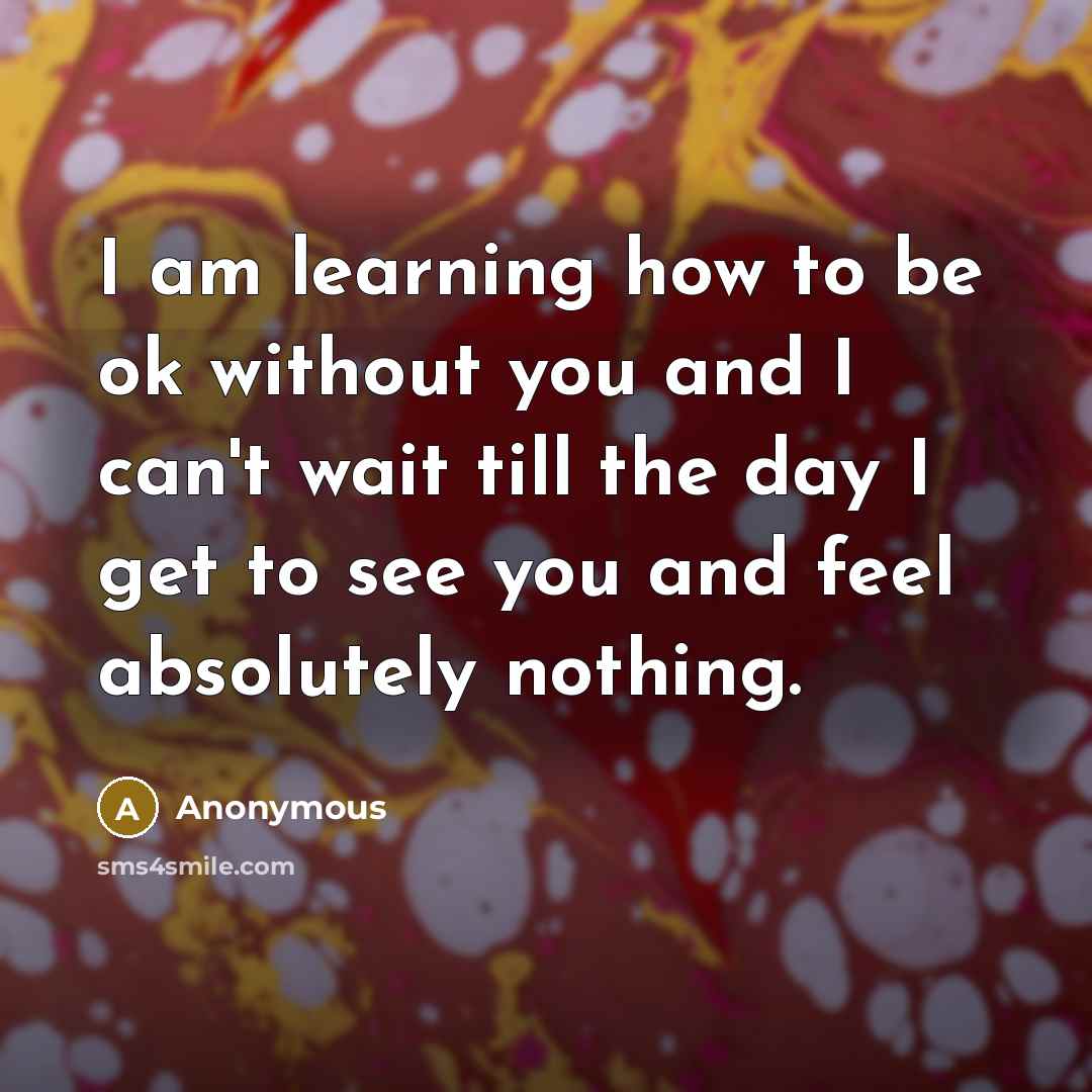 “I am learning how to be ok without you and I can't wait till the day I get to see you and feel absolutely nothing.” quote by Anonymous