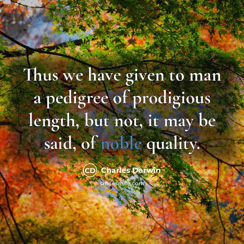 “Thus we have given to man a pedigree of prodigious length, but not, it may be said, of noble quality.” quote by Charles Darwin