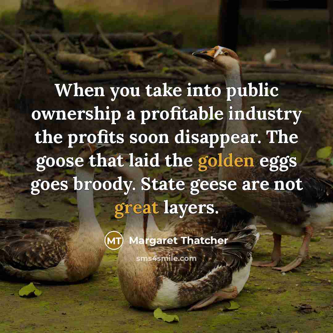 “When you take into public ownership a profitable industry the profits soon disappear. The goose that laid the golden eggs goes broody. State geese are not great layers.” quote by Margaret Thatcher