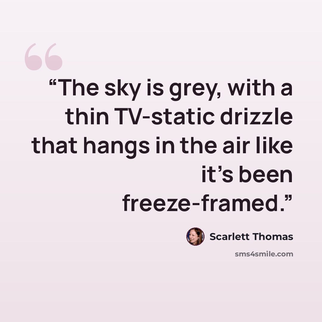“The sky is grey, with a thin TV-static drizzle that hangs in the air like it's been freeze-framed.” quote by Scarlett Thomas