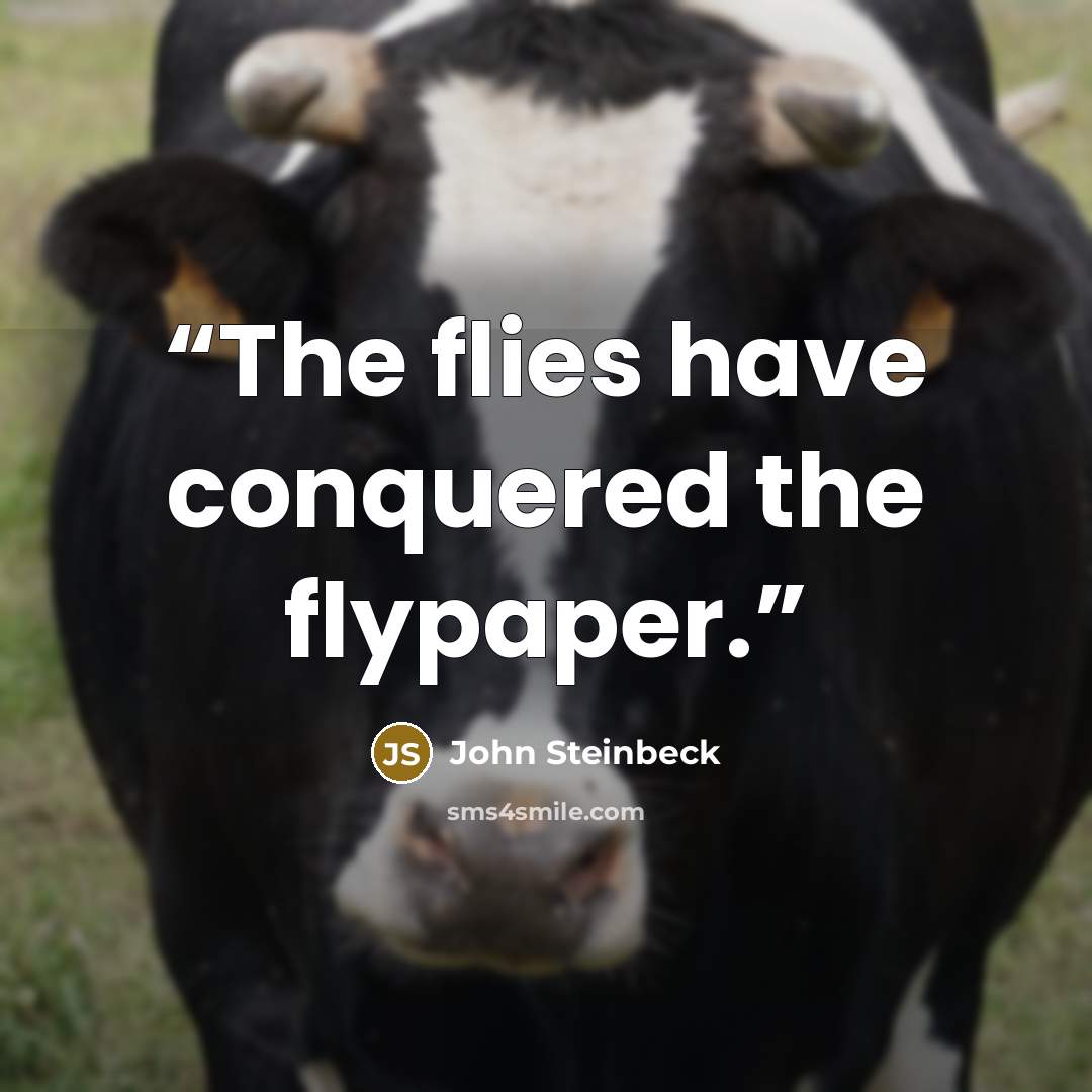 “The flies have conquered the flypaper.” quote by John Steinbeck