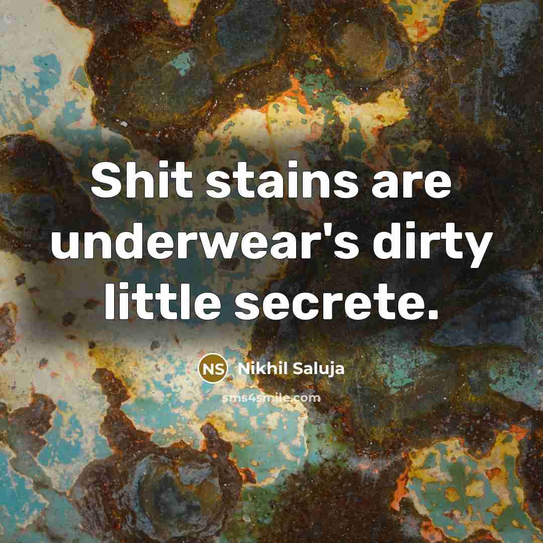 “Shit stains are underwear's dirty little secrete.” quote by Nikhil Saluja