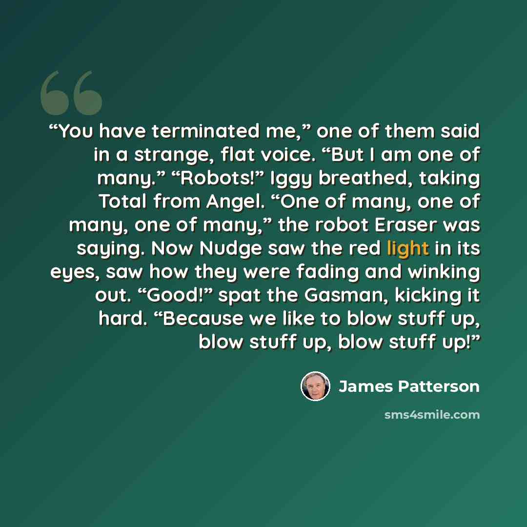 “You have terminated me,” one of them said in a strange, flat voice. “But I am one of many.” “Robots!” Iggy breathed, taking Total from Angel. “One of many, one of many, one of many,” the robot Eraser was saying. Now Nudge saw the red light in its eyes, saw how they were fading and winking out…” quote by James Patterson