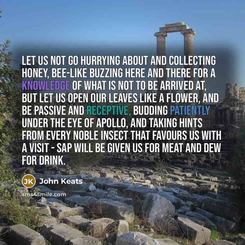 “Let us not go hurrying about and collecting honey, bee-like buzzing here and there for a knowledge of what is not to be arrived at, but let us open our leaves like a flower, and be passive and receptive, budding patiently under the eye of Apollo, and taking hints from every noble insect that…” quote by John Keats