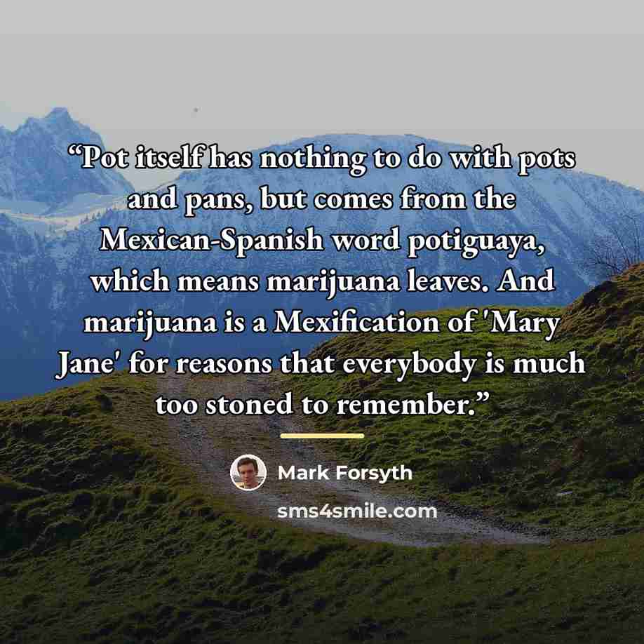 “Pot itself has nothing to do with pots and pans, but comes from the Mexican-Spanish word potiguaya, which means marijuana leaves. And marijuana is a Mexification of 'Mary Jane' for reasons that everybody is much too stoned to remember.” quote by Mark Forsyth