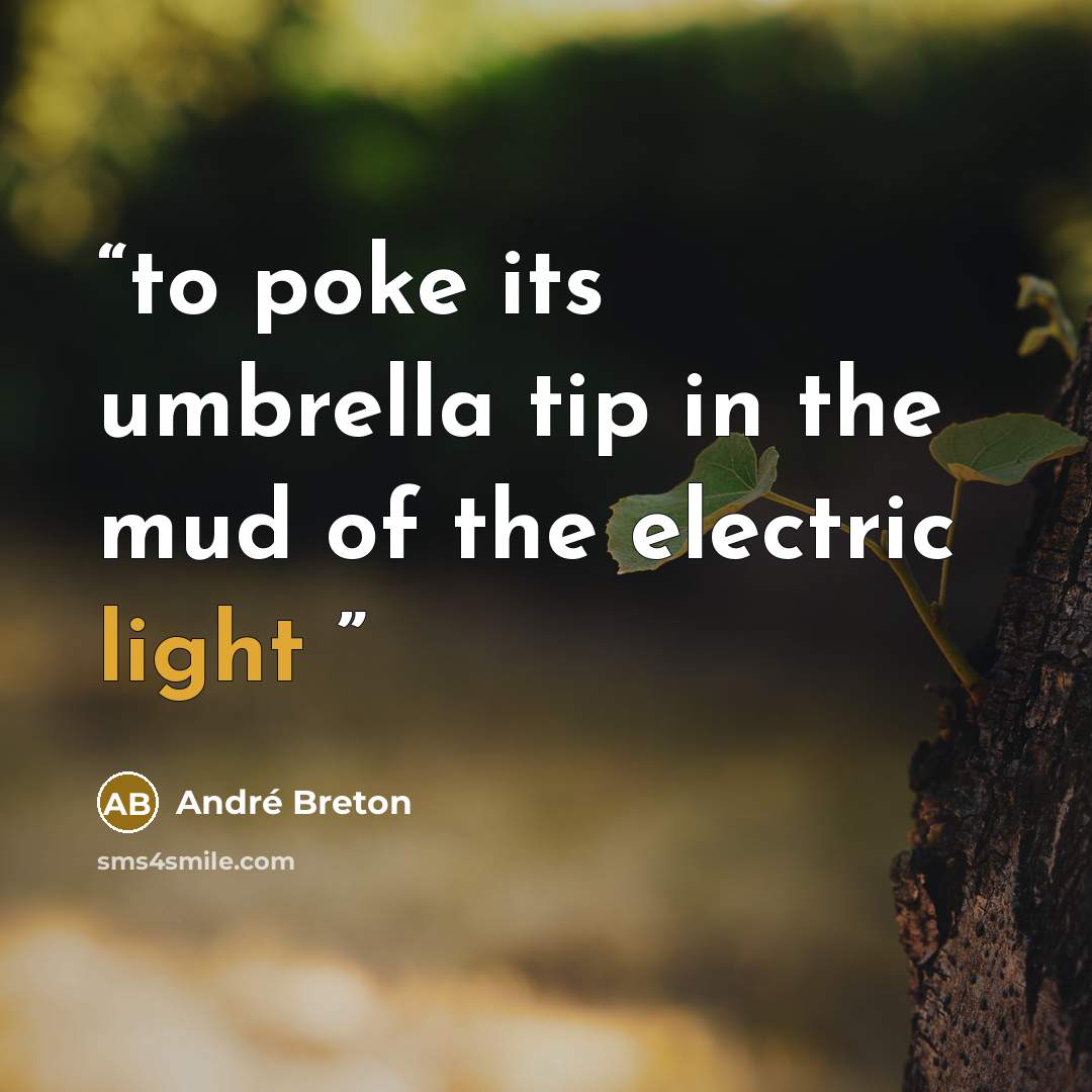“to poke its umbrella tip in the mud of the electric light” quote by Andre Breton