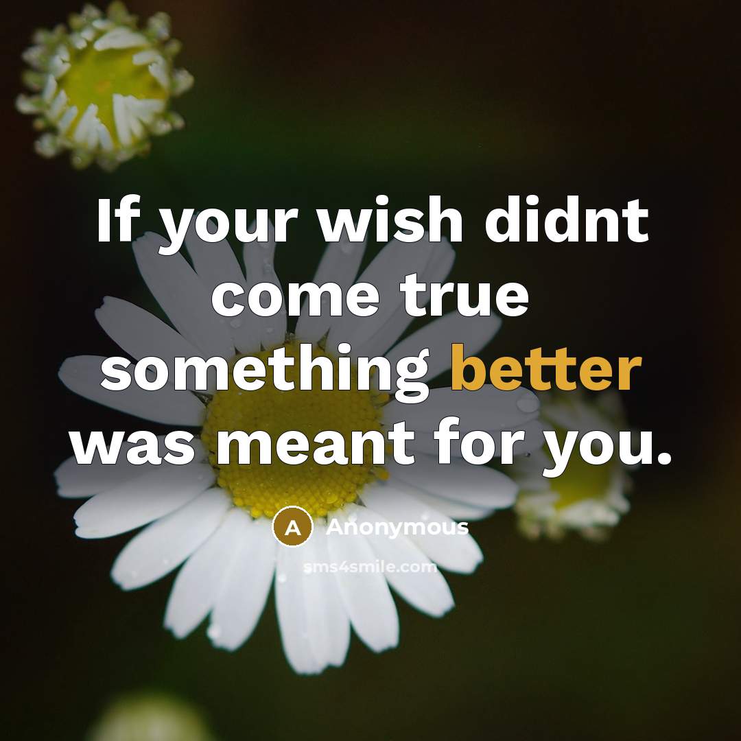 “If your wish didnt come true something better was meant for you.” quote by Anonymous