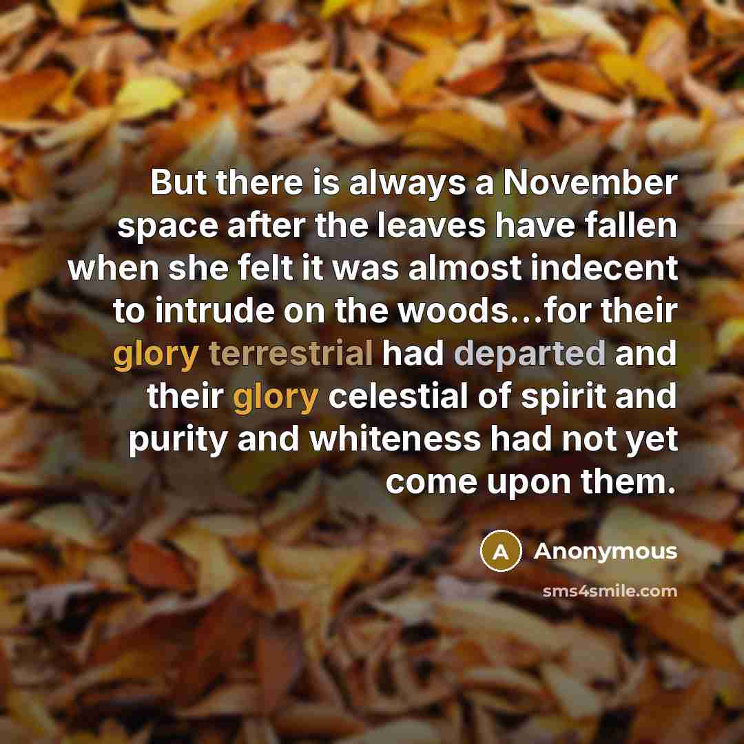 “But there is always a November space after the leaves have fallen when she felt it was almost indecent to intrude on the woods…for their glory terrestrial had departed and their glory celestial of spirit and purity and whiteness had not yet come upon them.” quote by Anonymous