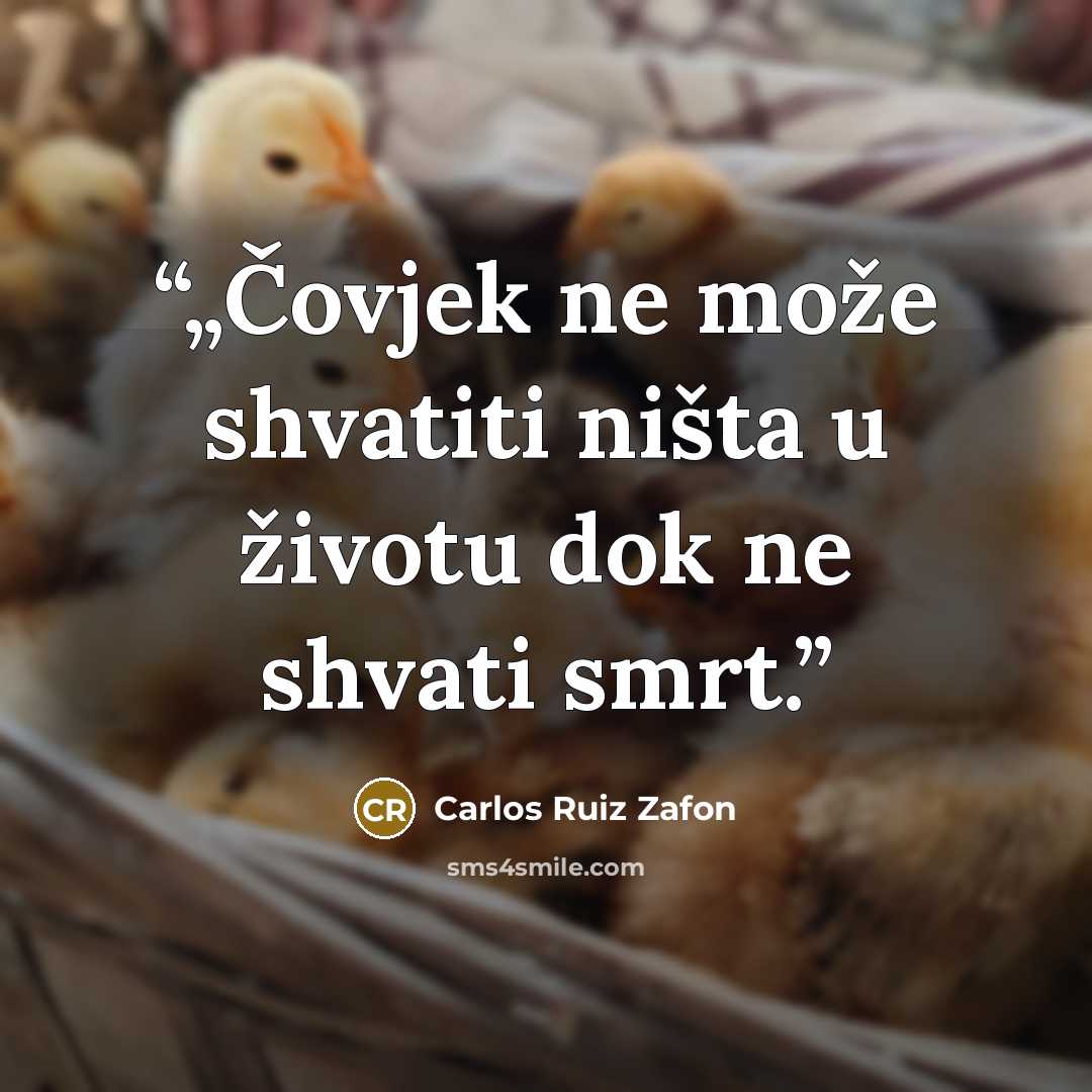 “„Čovjek ne može shvatiti ništa u životu dok ne shvati smrt.” quote by Carlos Ruiz Zafón