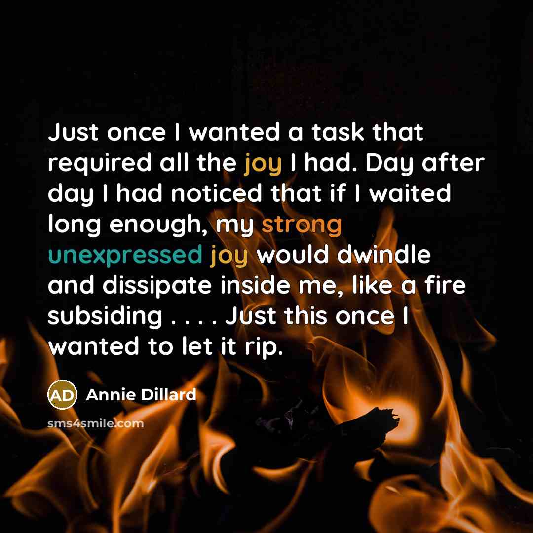 “Just once I wanted a task that required all the joy I had. Day after day I had noticed that if I waited long enough, my strong unexpressed joy would dwindle and dissipate inside me, like a fire subsiding . . . . Just this once I wanted to let it rip.” quote by Annie Dillard