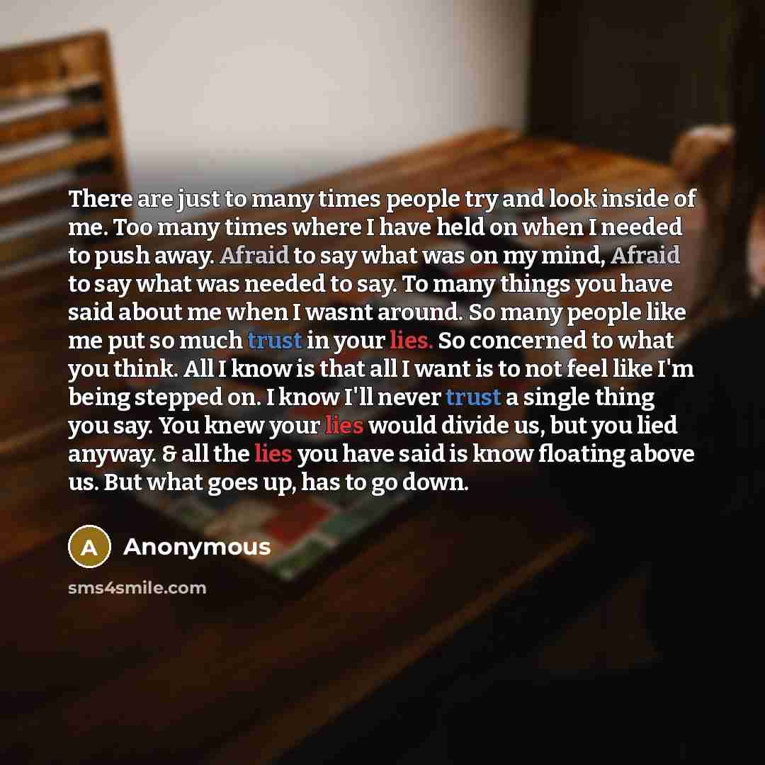 “There are just to many times people try and look inside of me. Too many times where I have held on when I needed to push away. Afraid to say what was on my mind, Afraid to say what was needed to say. To many things you have said about me when I wasnt around. So many people like me put so much…” quote by Anonymous