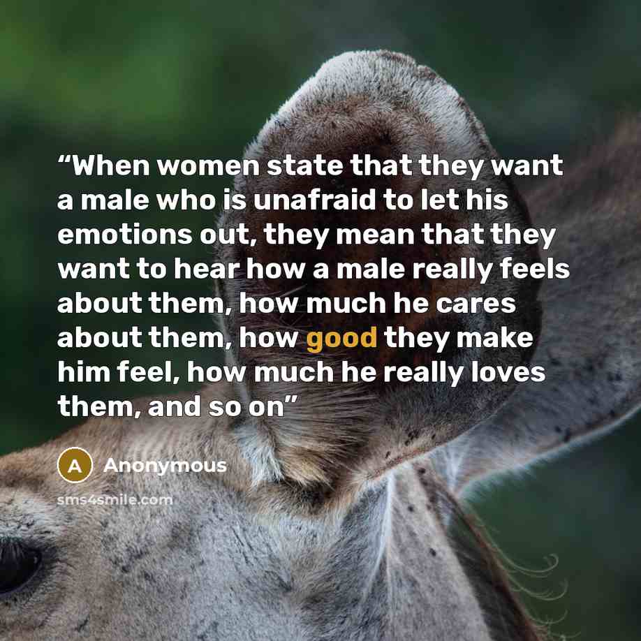 “When women state that they want a male who is unafraid to let his emotions out, they mean that they want to hear how a male really feels about them, how much he cares about them, how good they make him feel, how much he really loves them, and so on” quote by Anonymous