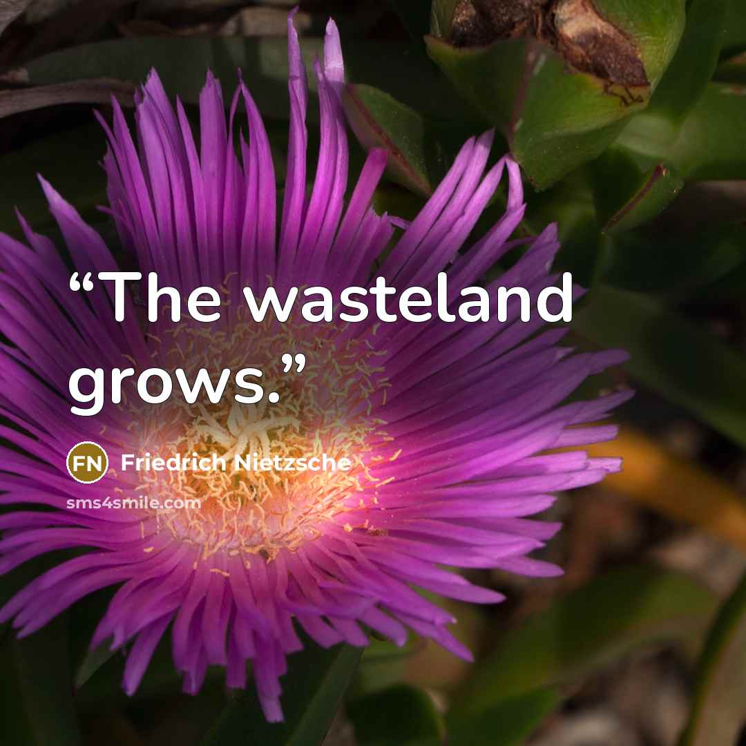 “The wasteland grows.” quote by Friedrich Nietzsche