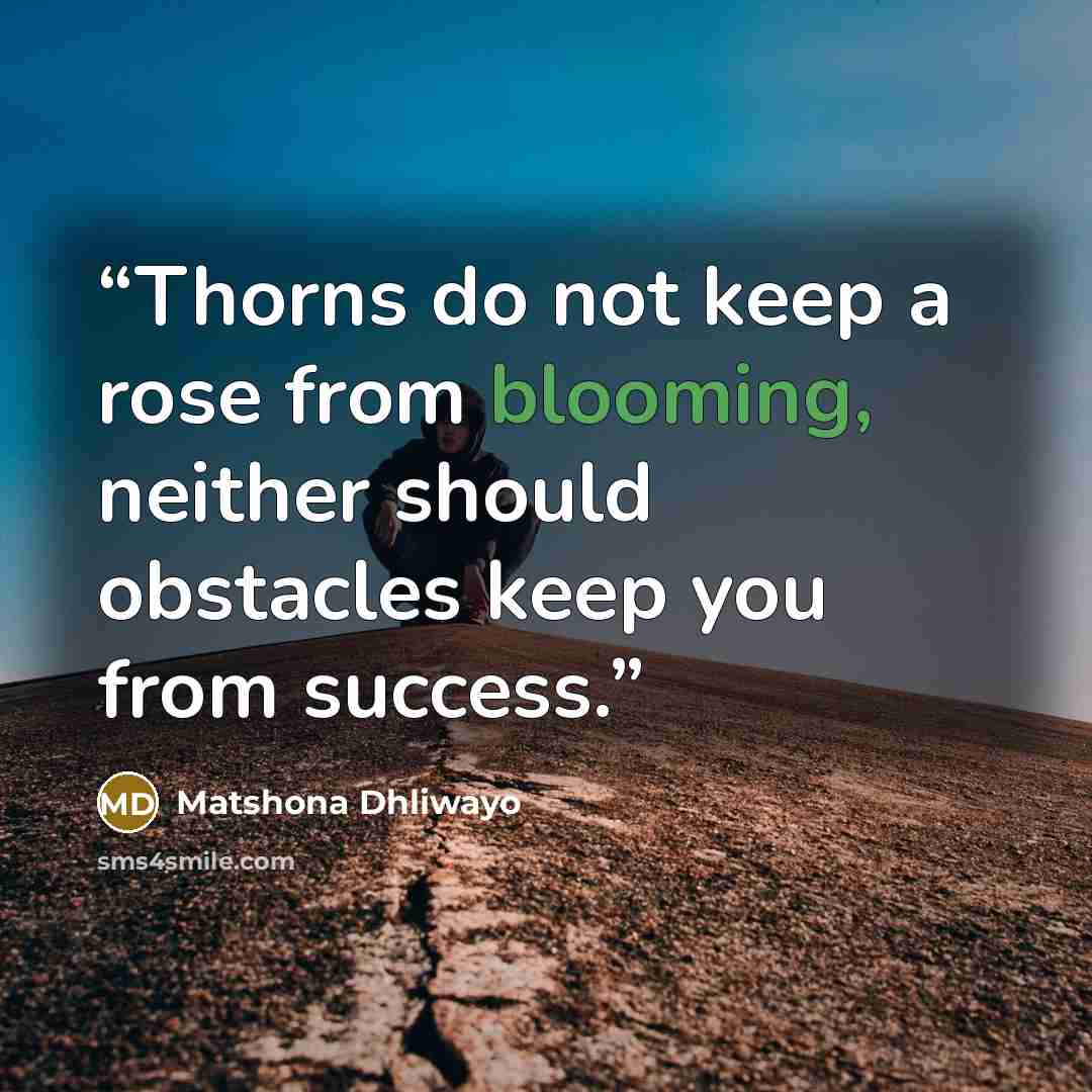 “Thorns do not keep a rose from blooming, neither should obstacles keep you from success.” quote by Matshona Dhliwayo