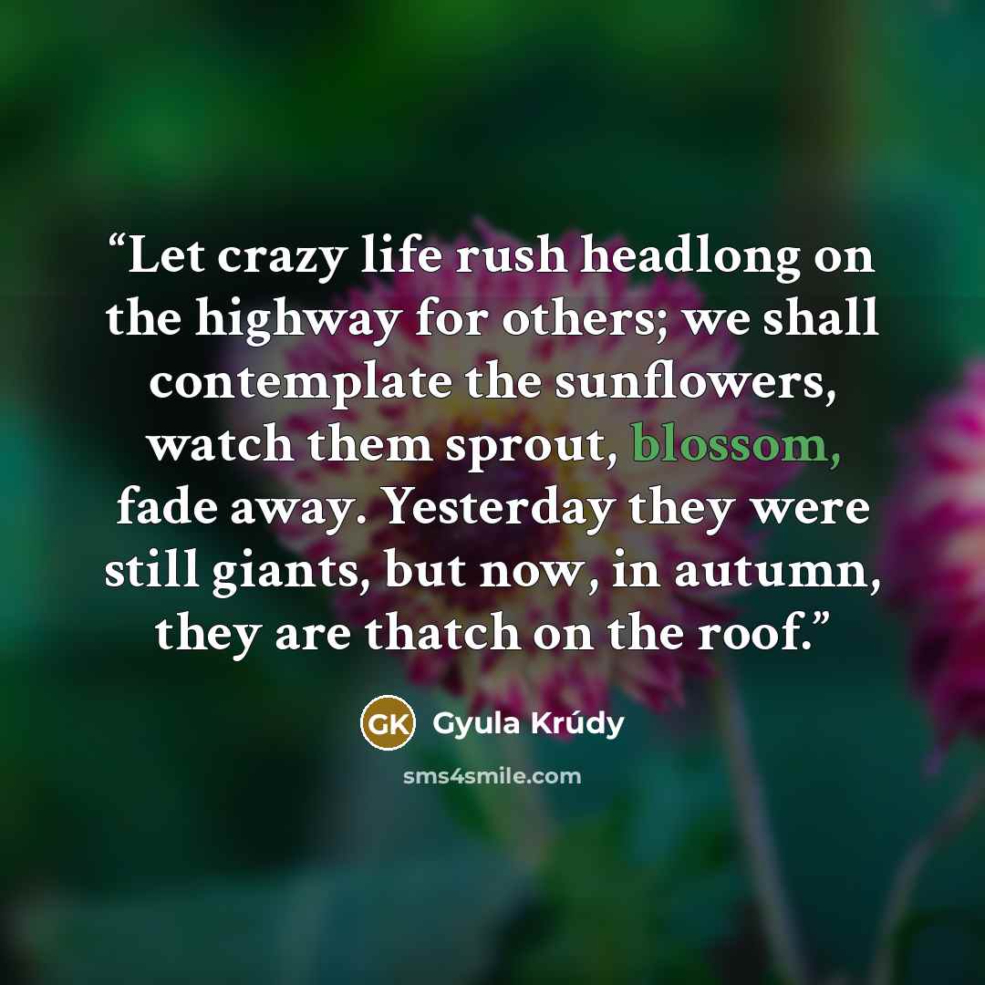 “Let crazy life rush headlong on the highway for others; we shall contemplate the sunflowers, watch them sprout, blossom, fade away. Yesterday they were still giants, but now, in autumn, they are thatch on the roof.” quote by Gyula Krúdy