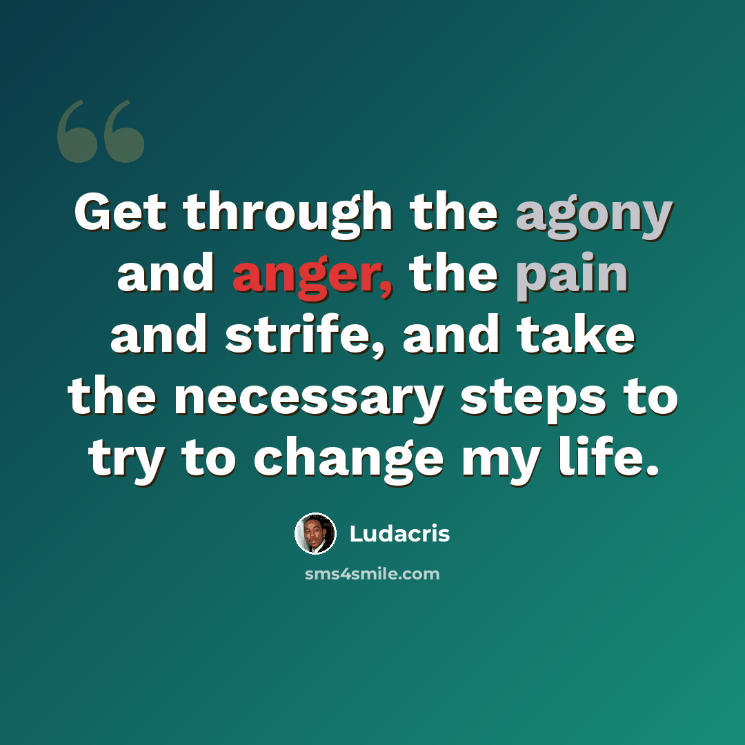 “Get through the agony and anger, the pain and strife, and take the necessary steps to try to change my life.” quote by Ludacris