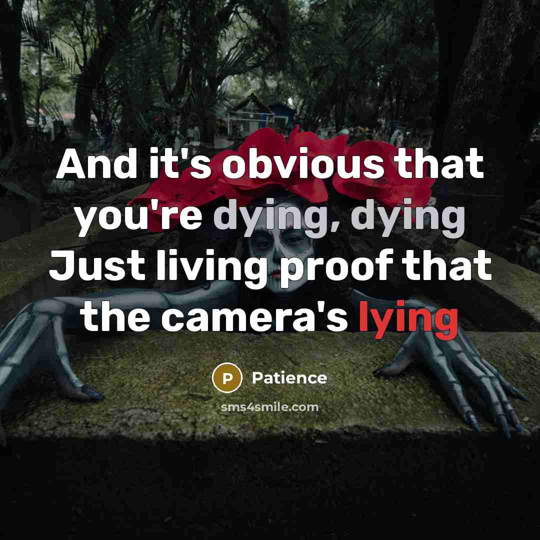 “And it's obvious that you're dying, dying Just living proof that the camera's lying” quote by Patience