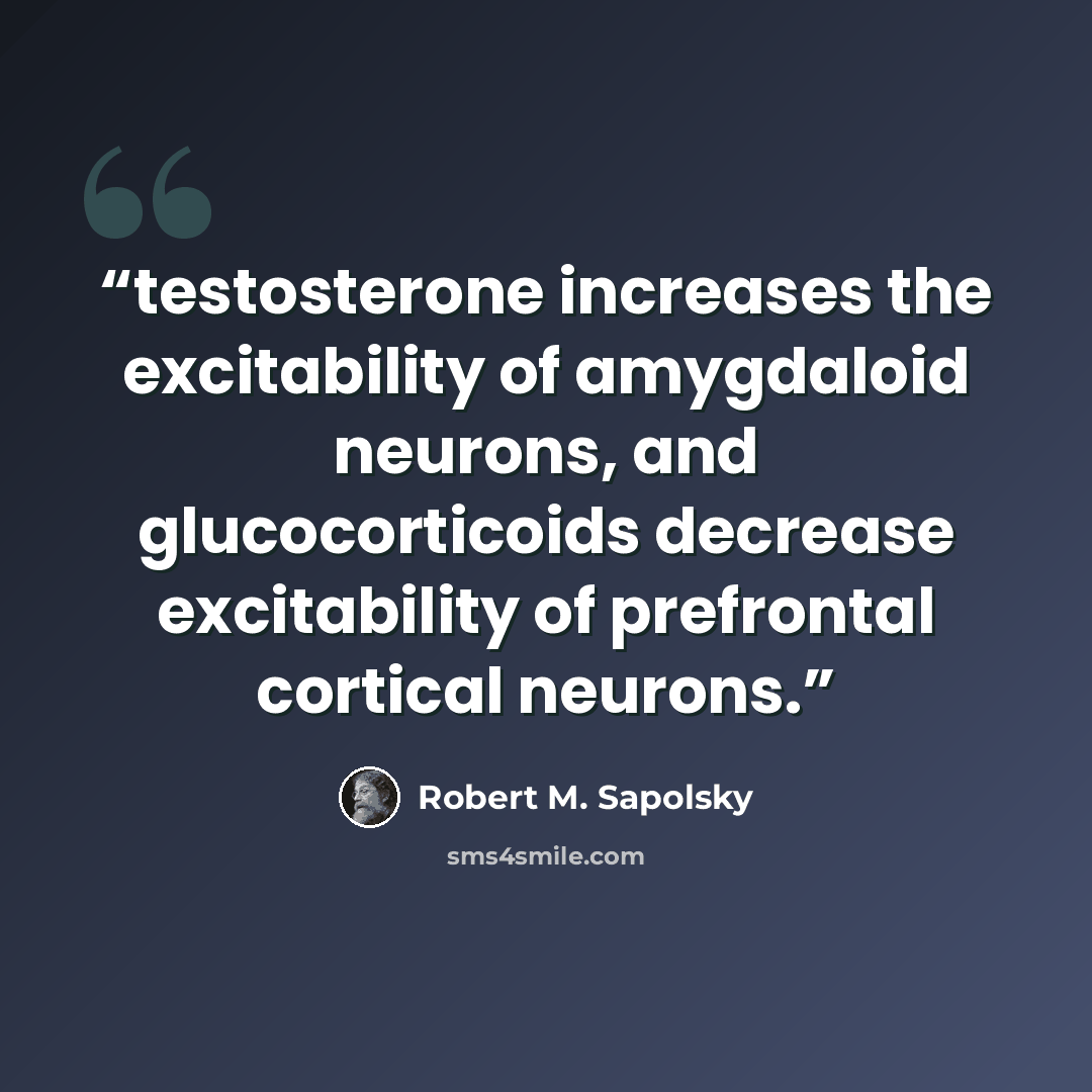 “testosterone increases the excitability of amygdaloid neurons, and glucocorticoids decrease excitability of prefrontal cortical neurons.” quote by Robert M. Sapolsky