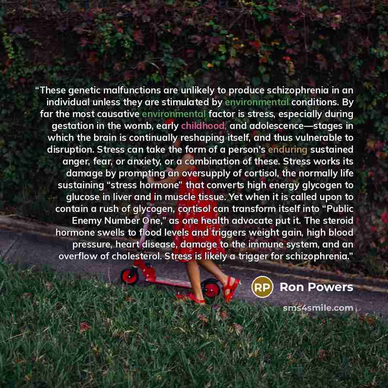 “These genetic malfunctions are unlikely to produce schizophrenia in an individual unless they are stimulated by environmental conditions. By far the most causative environmental factor is stress, especially during gestation in the womb, early childhood, and adolescence—stages in which the brain is…” quote by Ron Powers