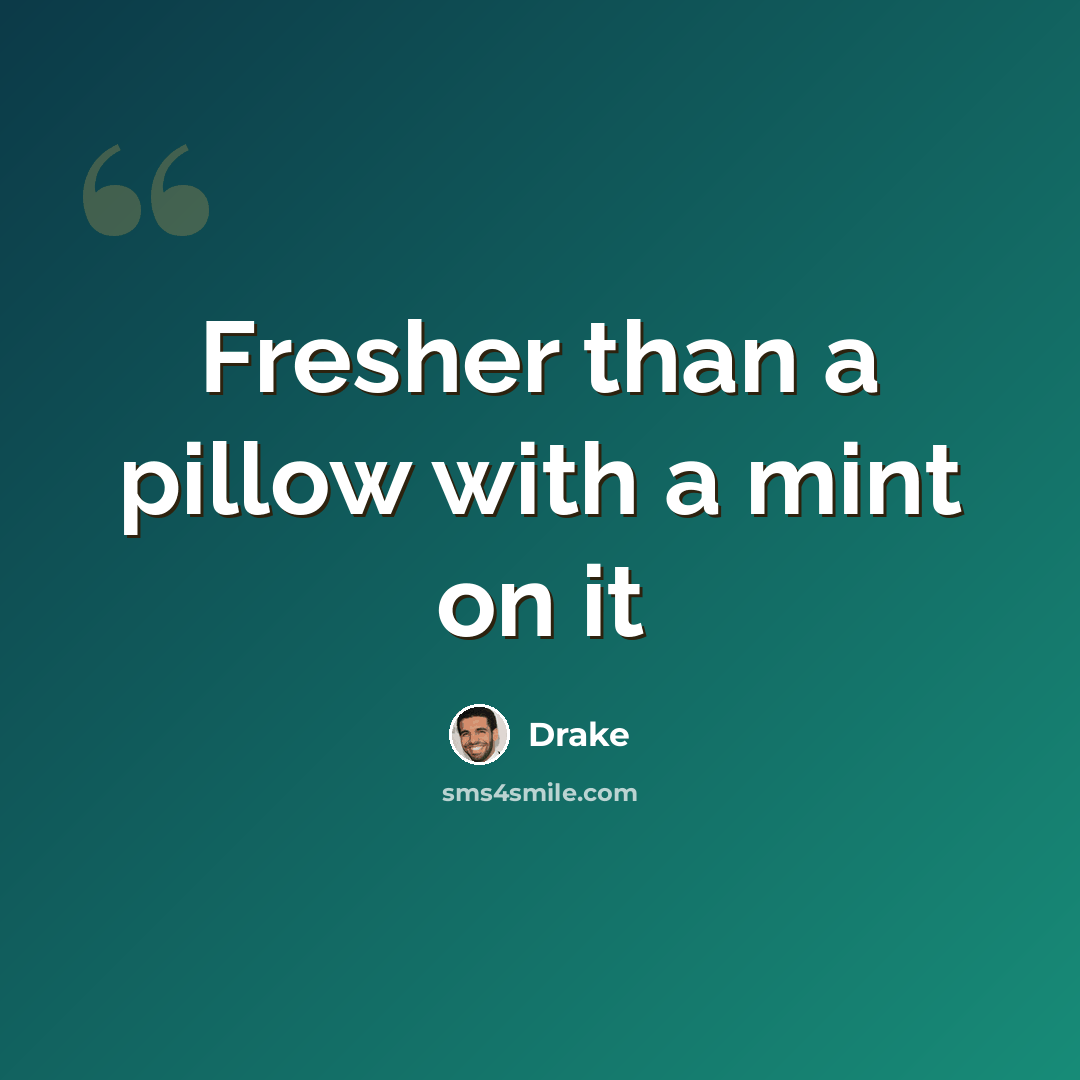 “Fresher than a pillow with a mint on it” quote by Drake
