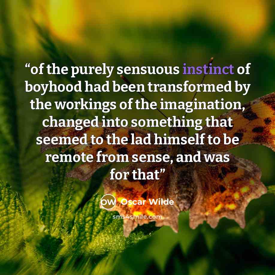 “of the purely sensuous instinct of boyhood had been transformed by the workings of the imagination, changed into something that seemed to the lad himself to be remote from sense, and was for that” quote by Oscar Wilde