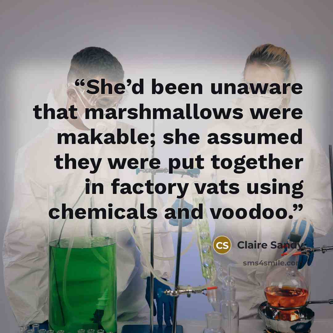 “She’d been unaware that marshmallows were makable; she assumed they were put together in factory vats using chemicals and voodoo.” quote by Claire Sandy
