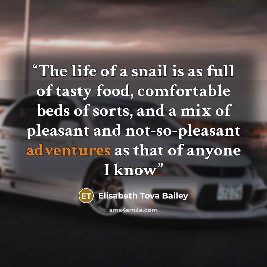 “The life of a snail is as full of tasty food, comfortable beds of sorts, and a mix of pleasant and not-so-pleasant adventures as that of anyone I know” quote by Elisabeth Tova Bailey