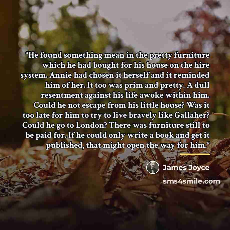 “He found something mean in the pretty furniture which he had bought for his house on the hire system. Annie had chosen it herself and it reminded him of her. It too was prim and pretty. A dull resentment against his life awoke within him. Could he not escape from his little house? Was it too late…” quote by James Joyce