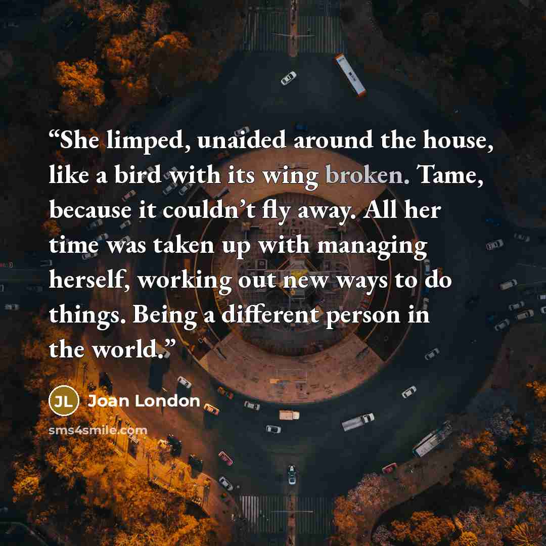 “She limped, unaided around the house, like a bird with its wing broken. Tame, because it couldn’t fly away. All her time was taken up with managing herself, working out new ways to do things. Being a different person in the world.” quote by Joan London